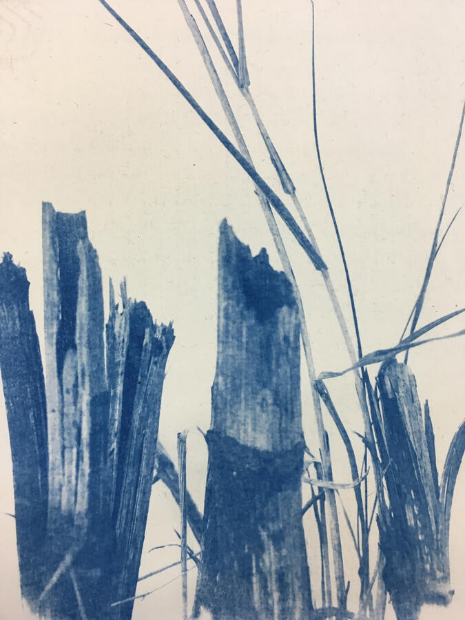Untitled Untitled